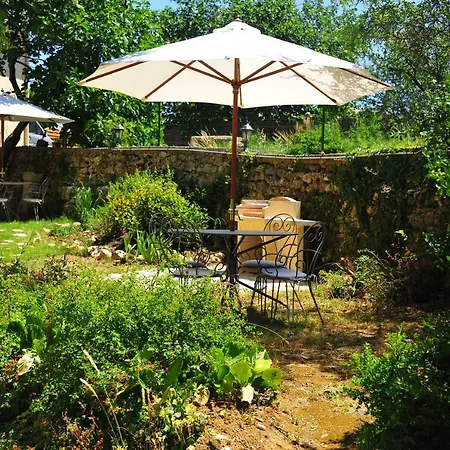 Pensión De Clary Baron (Gard)